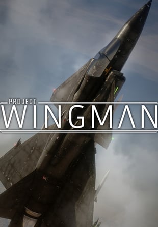 Project Wingman Steam ROW