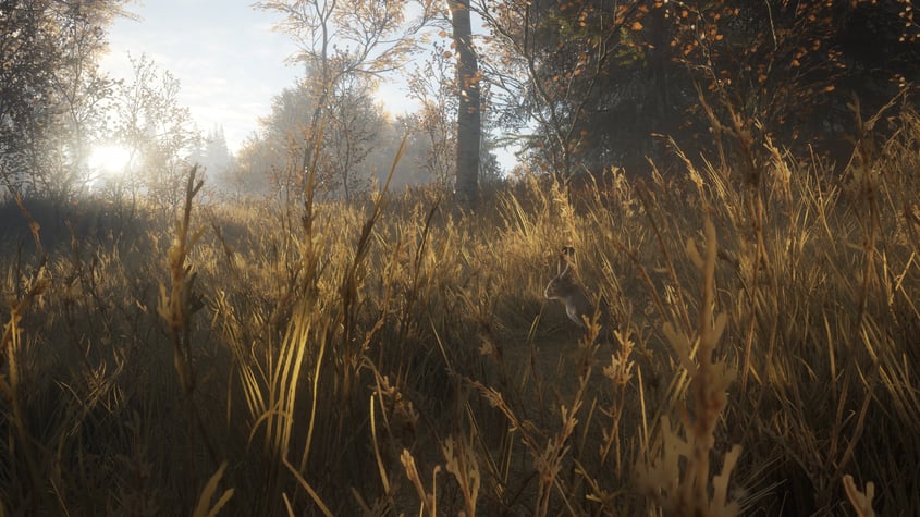 theHunter: Call of the Wild - Steam-  ROW